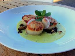 Caracol signature dishes Callo de HachaTaquito de LangostaEnchiladas del Dia
